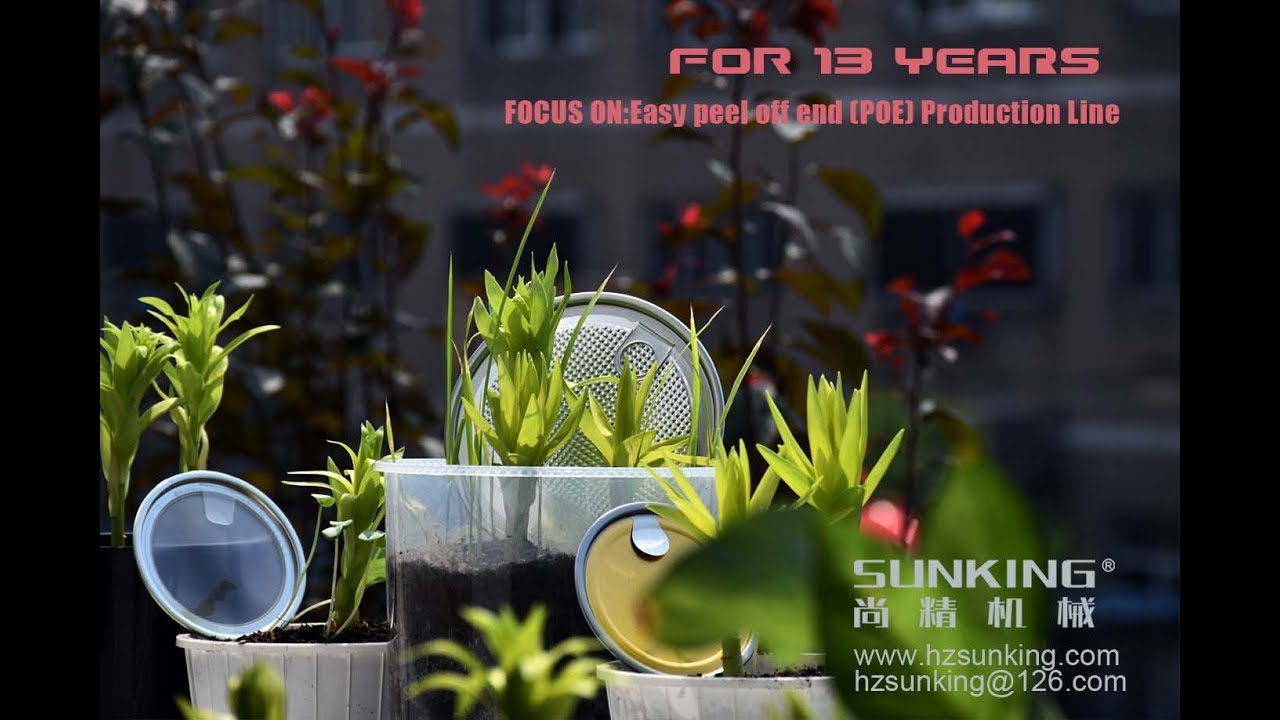 Peel Off End Making Machine 1 lane,peel off end,Retort film peel off end,401# POE Machine,Canend,POE