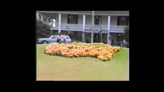 1981 Masters Memories