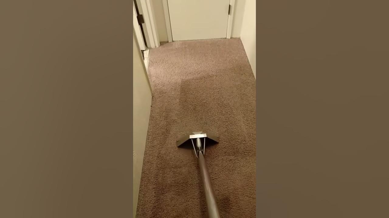 Free hallway carpet cleaning YouTube