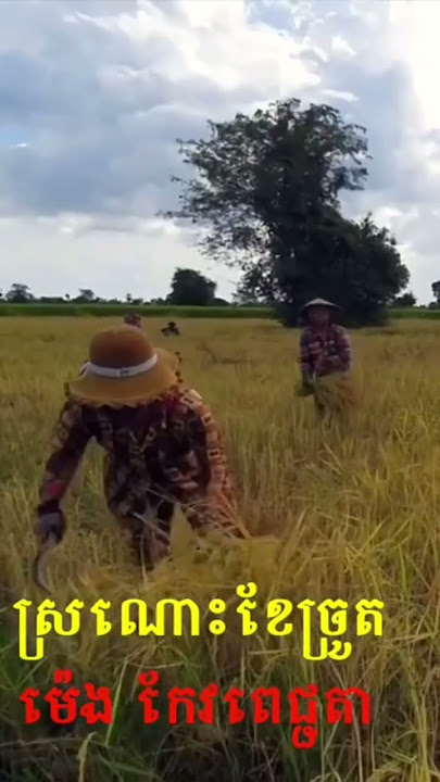 Sronoss Khae Jrott By Meng Keo Pich Chenda