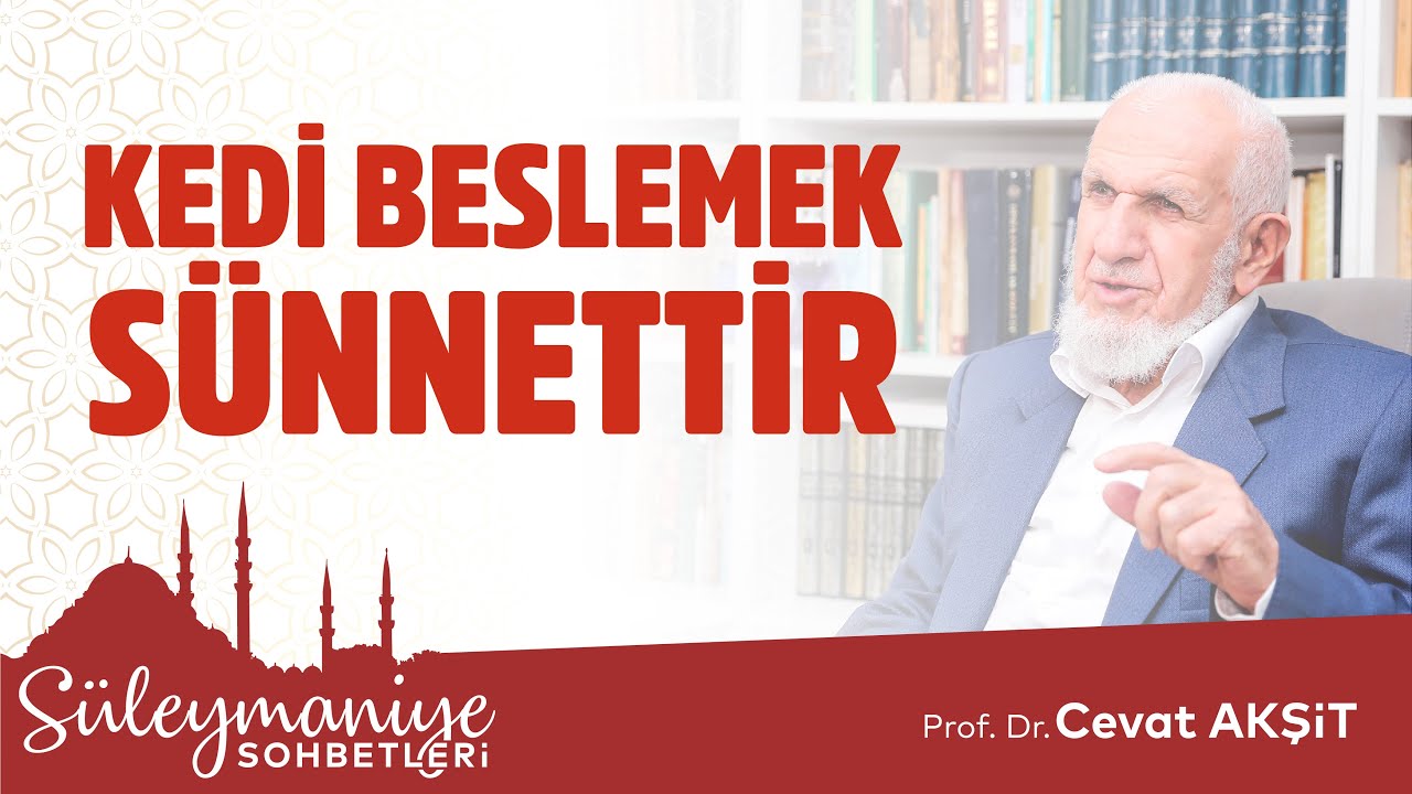 Kedi Beslemek Sunnettir Prof Dr Cevat Aksit Hocaefendi Youtube