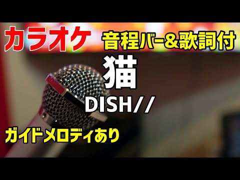 【カラオケ】猫 / DISH// 【作詞作曲あいみょん】ガイドメロディあり