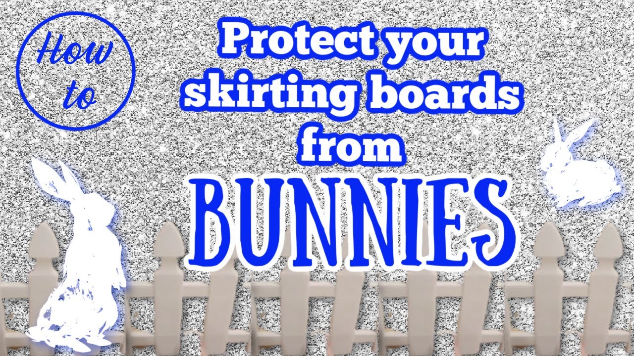 How To Protect Your Skirting Boards From Bunnies | The Rabbit Sanctuary Australia