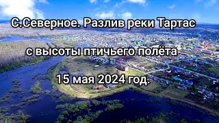 Разлив р.Тартас с высоты птичьего полета 15.05.2024