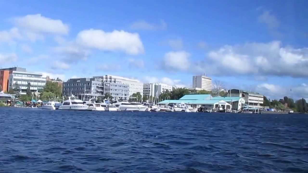 Dinner and a cruise day.