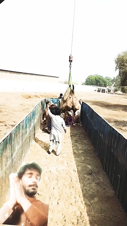 😭😭 jaga ji lagane ki yah duniya nahin hai imarat ki jaaye tamasha kaise