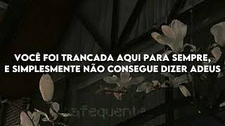 Cigarettes After Sex - Apocalypse (Tradução/Legendado)