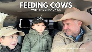 Grandkids helping Pappy #cows #ranch #grandkids by The Mendota Ranch 9,446 views 3 months ago 37 minutes