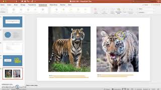 Digital Media Project final