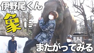 めざましテレビ フジテレビ