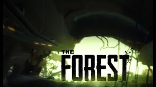 The forest #1 (Aventura en la selva) screenshot 2