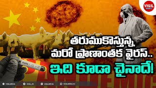 G4 Virus Explained in Telugu | New G4 Virus Found in China | New Virus From China | Telugu