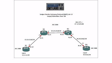 Juniper BGP Lab 13 Loops/Advertise-Peer-AS