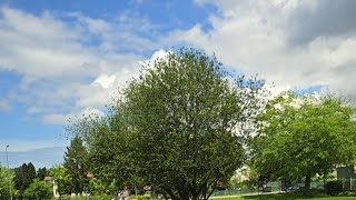 Explore live locations | Natural landscapes, rivers, swamps, and urban 🌳