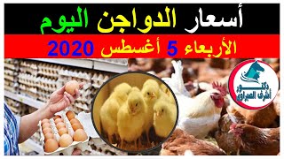 أسعار بورصة الدواجن والكتاكيت والبط والسمان |وأسعار بيض المائدة والعلف اليوم الأربعاء 5 / 8 / 2020 