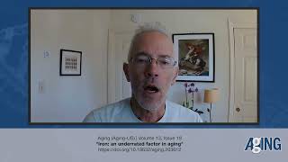 Behind The Study Iron Is An Underrated Factor In Aging Aging-Us