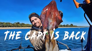 Krakin Squid & Sunset Whiting | Epic Port Phillip Bay Fishing Adventure