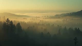 Drifting Through Mist 🌫️ | Ambient Piano Music for Relaxation, Meditation & Deep Sleep