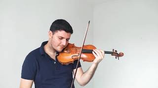 Three Little Birds - Bob Marley - Violin Cover - Filipe Dost