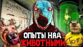 видео: В ЭТОЙ КЛИНИКЕ ПРОВОДЯТ ОПЫТЫ НАД ЖИВОТНЫМИ И ЛЮДЬМИ 🐕 - Canine картинка: В ЭТОЙ КЛИНИКЕ ПРОВОДЯТ ОПЫТЫ НАД ЖИВОТНЫМИ И ЛЮДЬМИ 🐕 - Canine