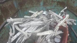 Ratting With Terriers Bcrp