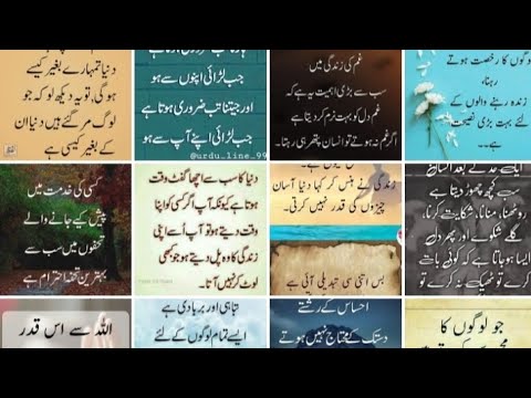        اقوال زریں