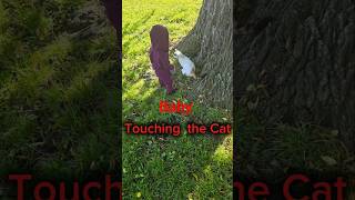 Relaxing Video About A Baby Trying To Catch A Cute Cat.