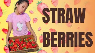 😲 We couldn't believe how BIG these strawberries are! 🍓🔥
