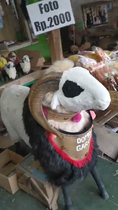 domba Garut #shortsvideo #shortbeta #shortvideo #huntingjajan #pasarmalam