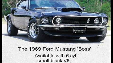 Falsifying Phylogeny