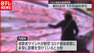 【消費動向調査】“購買意欲”３か月連続マイナス  新型コロナ影響か