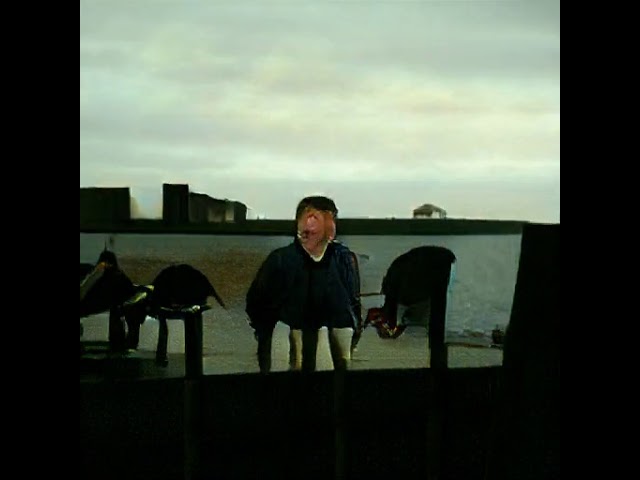 Guarda A Walk in the Park (Josh Mobley) - Video generated with BigGAN su YouTube Guarda A Walk in the Park (Josh Mobley) - Video generated with BigGAN su YouTube