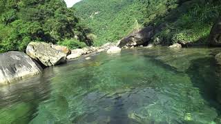 20200516 花蓮-三棧南溪-黃金峽谷-毛片8