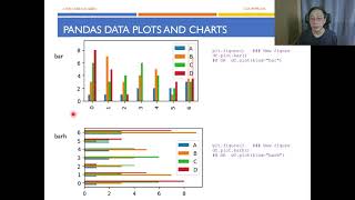 Python Programming - Data Visualization T03 - Plots and Charts Net Worth