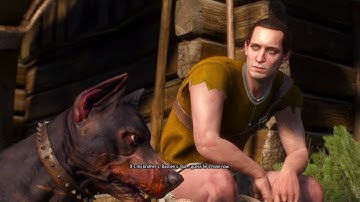 Witcher 3 - Missing In Action