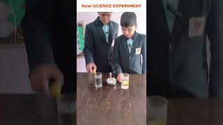 Floating or Sinking? Simple Science Experiment @rocketstudyacademy #shorts #students #admission