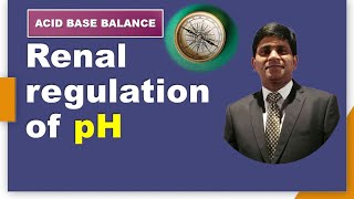 Renal regulation of pH  with animation: Acid base balance:  biochemistry