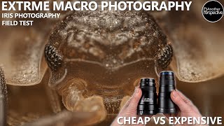 Macro Photography on a Budget - AstrHori 25mm Macro Lens