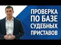 Проверка дебитора по базе данных судебных приставов  [Академия дебиторской задолженности]