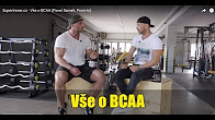 Supertrener.cz - Vše o BCAA (Pavel Samek, Prom-in)