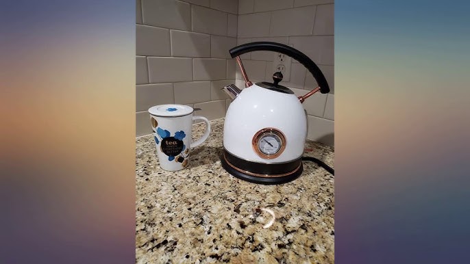 Pukomc Electric Water Kettle with Thermometer 