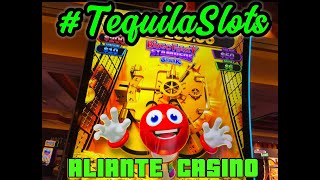 BINGO FRENZY STAMPEDE SHARK😜 NEW MACHINE AT ALIANTE CASINO
