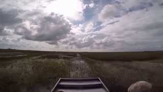 Everglades airboat