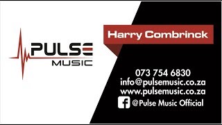 Pulse Music Introduction screenshot 4