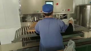 Aseptic bag bib bag filling machine for mango pulp 5L to 100L