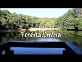 Riserva naturale Foresta Umbra - Puglia -