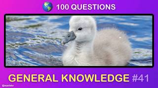 GENERAL KNOWLEDGE TRIVIA QUIZ #41 - 100 General Knowledge Trivia Questions and Answers Pub Quiz