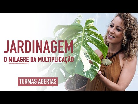 JARDINAGEM o MILAGRE