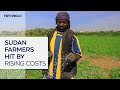 Farmers in Sudan battle rising fuel and fertiliser prices