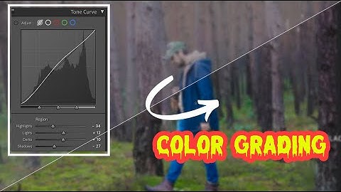 Mastering CURVES Tool : Cinematic Color Grading Tutorial (Premiere Pro)